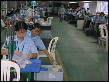 20080315-Disneyfactory3 China  Labor Watch.jpg